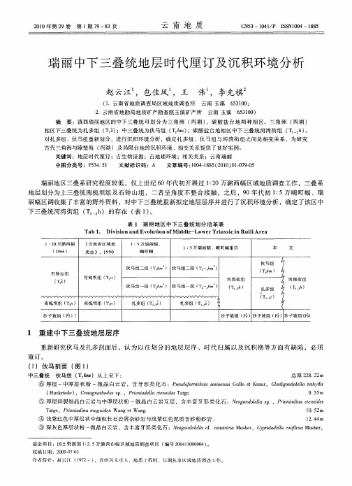 瑞丽中下三叠统地层时代厘订及沉积环境分析