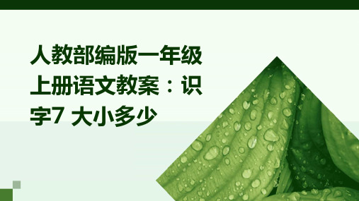 人教部编版一年级上册语文教案：识字7+大小多少