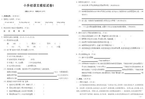 六年级下册语文试题-小升初模拟试题3套   人教新课标(PDF版 含答案)_PDF压缩