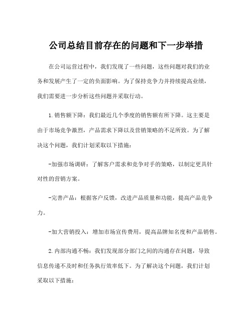 公司总结目前存在的问题和下一步举措