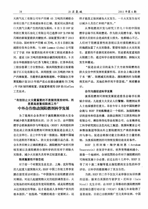 “有效防止火灾最重要的不是禁用某些材料,而是要高度重视阻燃工作”中外合作推动溴阻燃剂科学发展