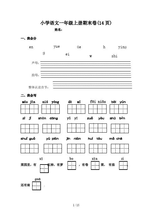 最新小学语文一年级上册期末卷(14页)