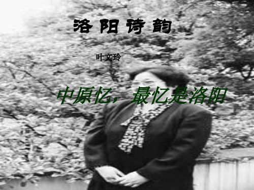《洛阳诗韵》