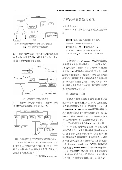 子宫颈癌的诊断与处理