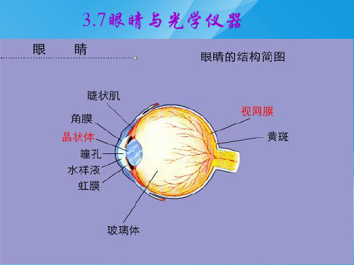 眼睛与光学仪器ppt1 粤教沪科版优质课件优质课件