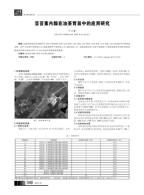 芸苔素内酯在油茶育苗中的应用研究