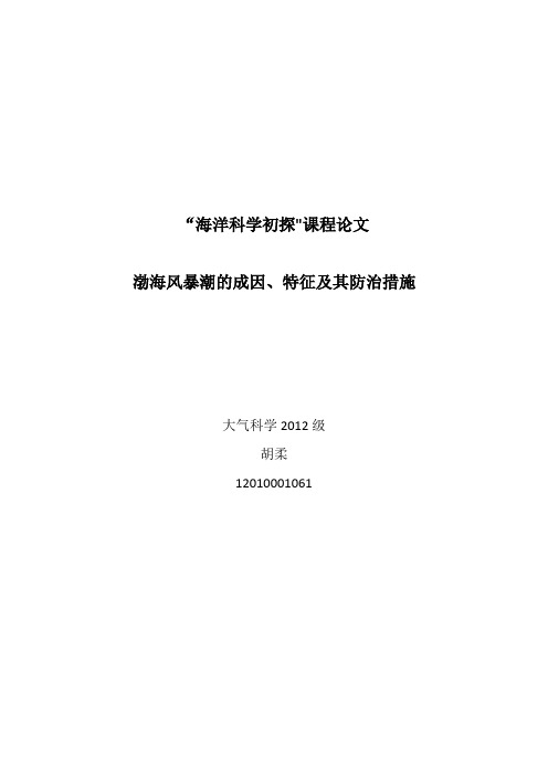 渤海风暴潮的成因、特征及其防治