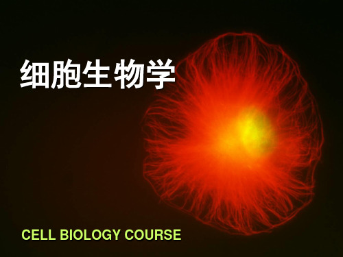 翟中和细胞生物学ppt