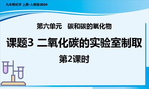 二氧化碳的实验室制取 第2课时 课件 (共24张PPT)2024-2025学年人教版九年级化学上册