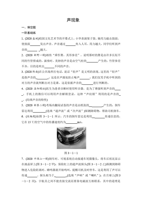 2021年春人教版物理中考专题训练《声现象》