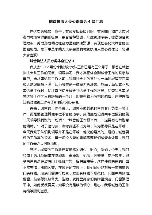 城管执法人员心得体会4篇汇总