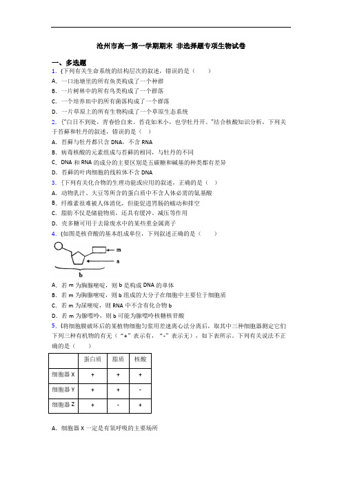 沧州市高一第一学期期末 非选择题专项生物试卷