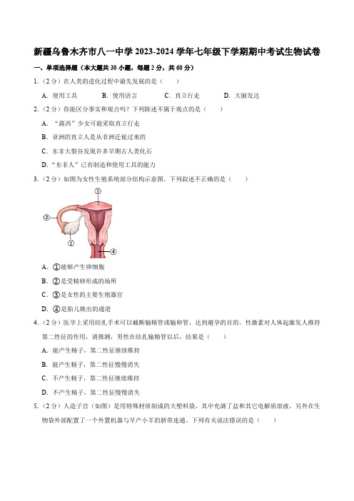 新疆乌鲁木齐市八一中学2023-2024学年七年级下学期期中考试生物试卷(含解析)