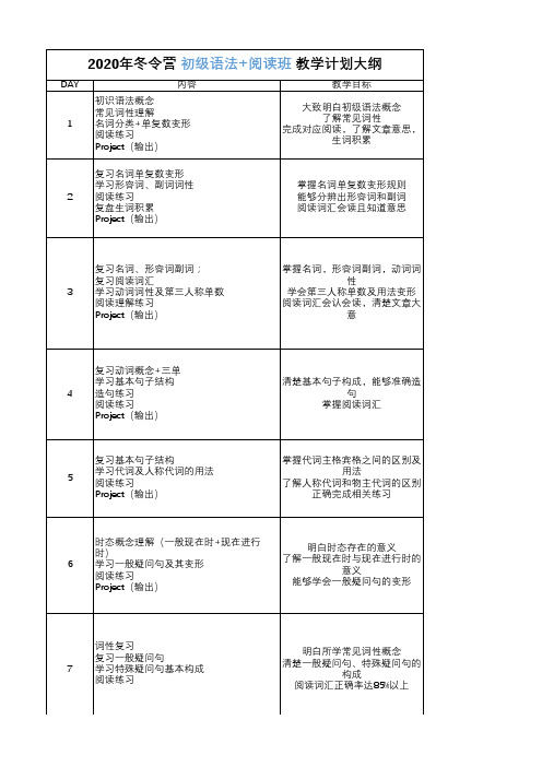 冬令营初级语法+阅读集训教学计划大纲