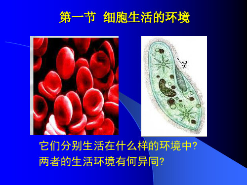 人教版教学课件第1章人体的内环境和稳态