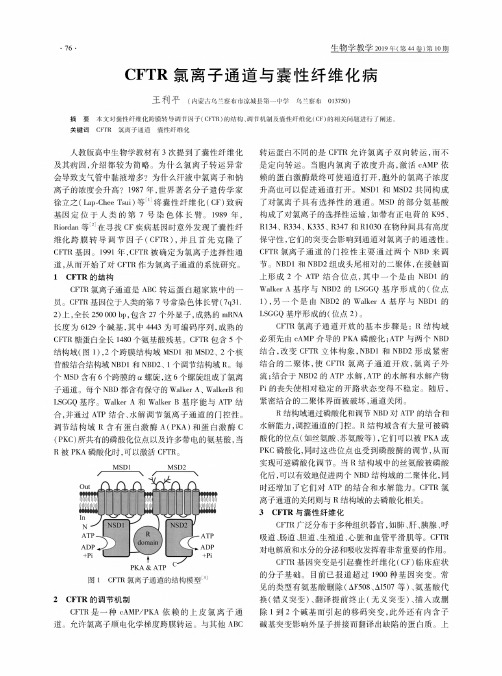 CFTR氯离子通道与囊性纤维化病