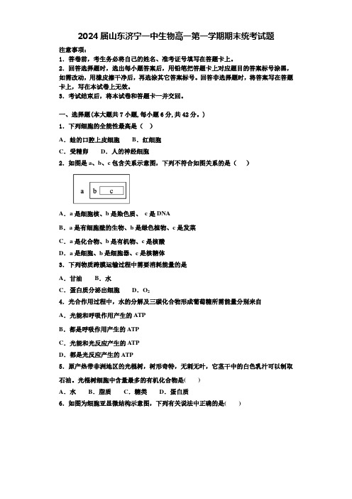 2024届山东济宁一中生物高一第一学期期末统考试题含解析