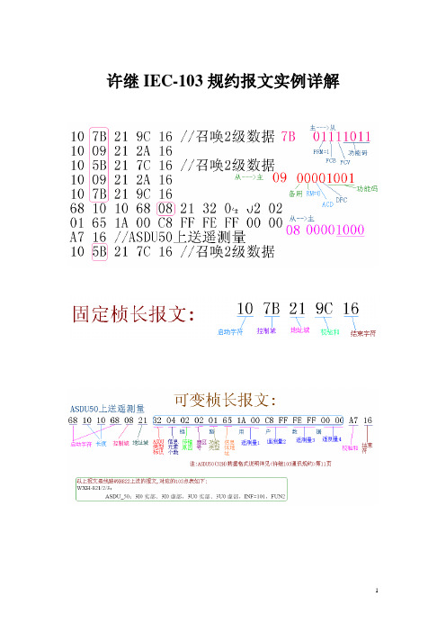 许继103报文解析