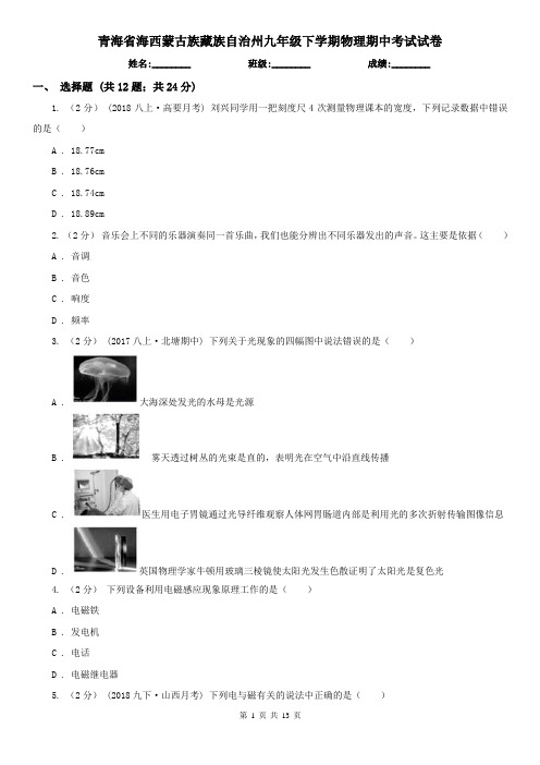 青海省海西蒙古族藏族自治州九年级下学期物理期中考试试卷