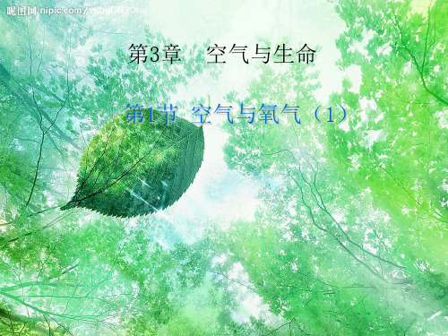 浙教版八年级科学下第三章第1节空气与氧气教学课件共15张PPT