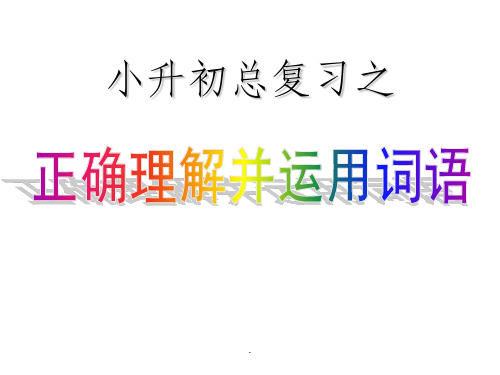 六年级语文总复习之词语的理解和运用ppt课件