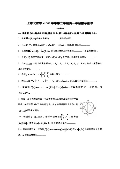 上海市上海师范大学附属中学2023-2024学年高一下学期期中考试数学试题