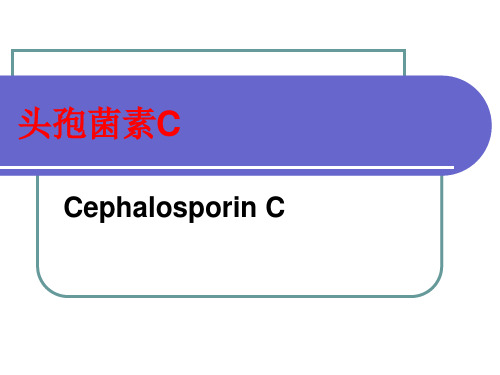 第九讲 头孢菌素类分解