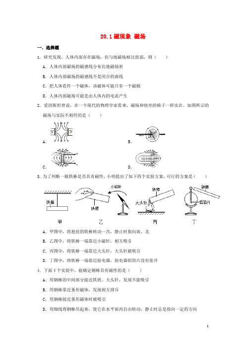 九年级物理全册 20.1 磁现象 磁场习题3（新版）新人教版