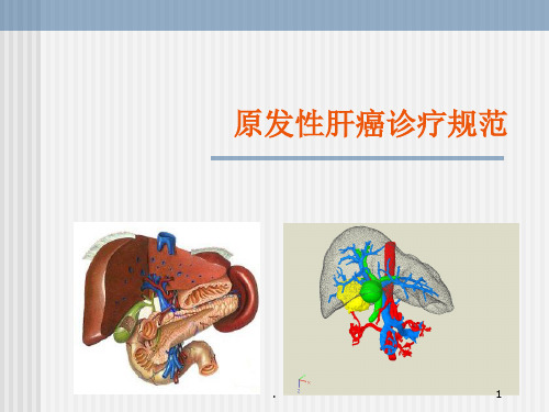 原发性肝癌诊疗规范【32页】