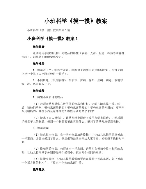 小班科学《摸一摸》教案