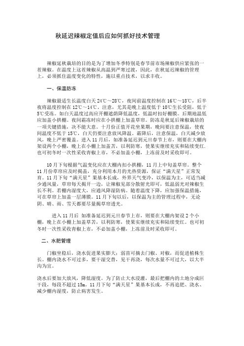 秋延迟辣椒定值后应如何抓好技术管理