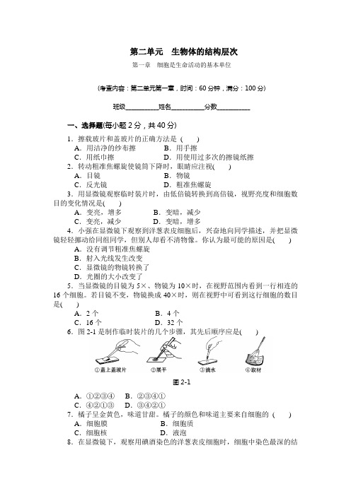 七年级生物第二单元第一章综合测试(含答案)