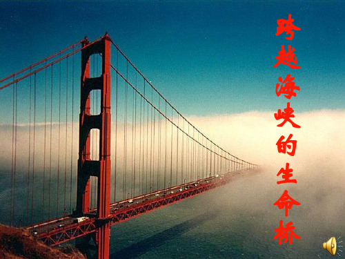 跨越海峡的生命桥01