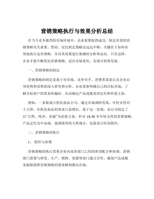 营销策略执行与效果分析总结