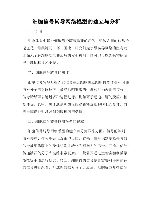 细胞信号转导网络模型的建立与分析