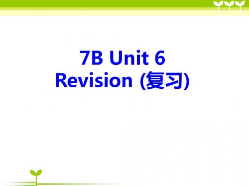 7B Unit 6 (复习课件)