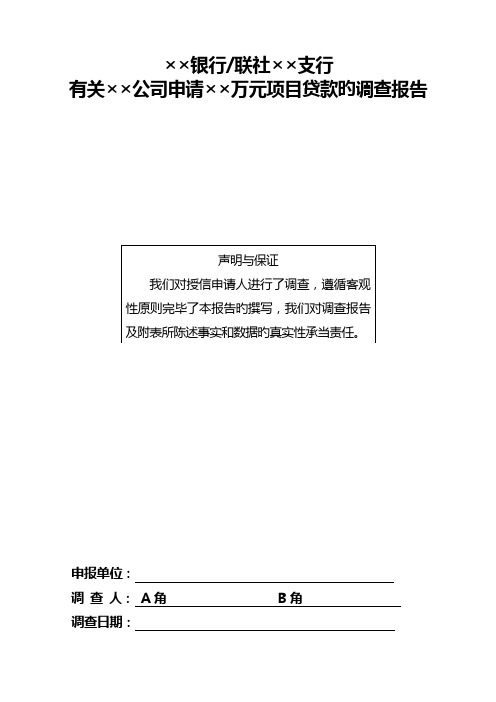 项目贷款调查报告模板