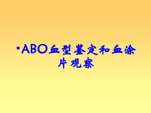 ABO血型鉴定和血涂片观察