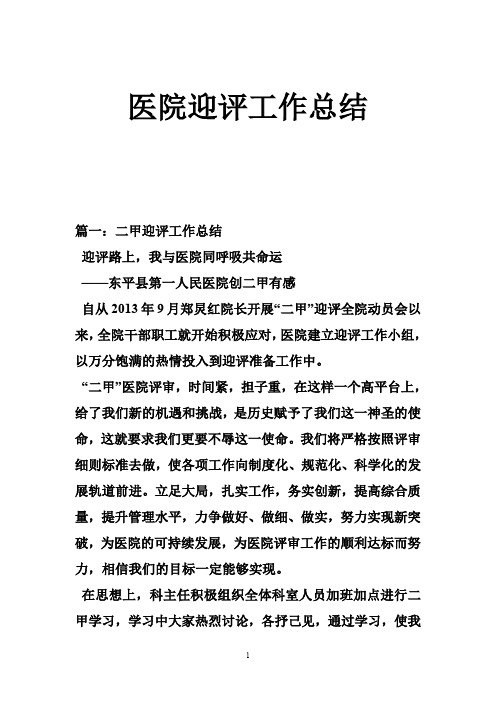 医院迎评工作总结