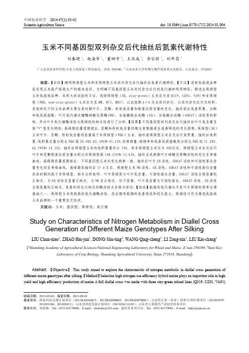 玉米不同基因型双列杂交后代抽丝后氮素代谢特性