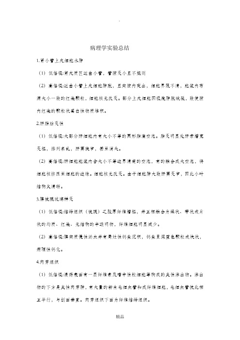 病理学实验总结