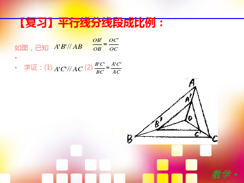 相似多边形的性质与判定