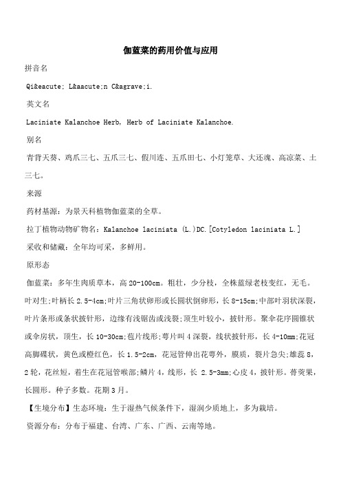 【优秀文档】伽蓝菜的药用价值与应用