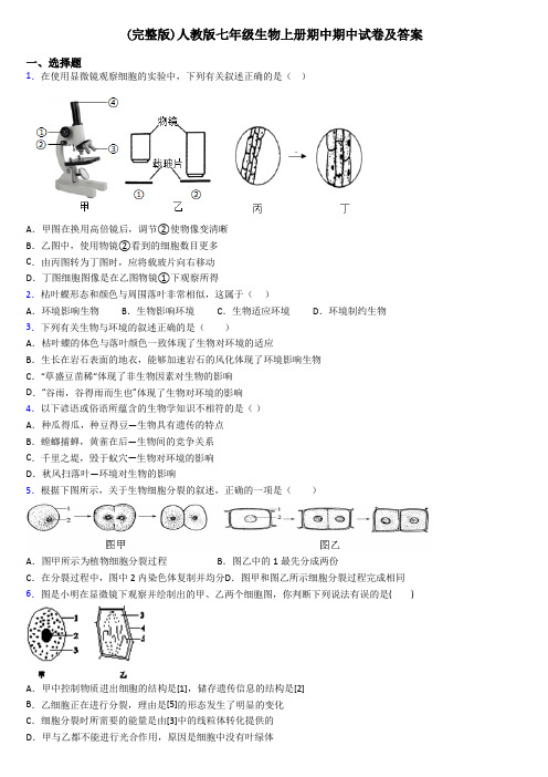 (完整版)人教版七年级生物上册期中期中试卷及答案