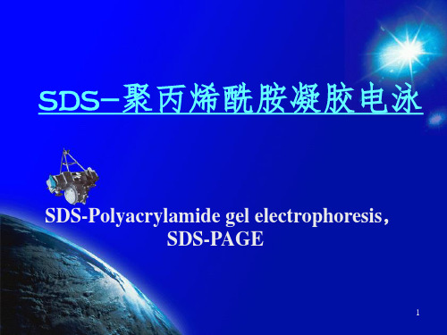 SDS-PAGE,聚丙烯酰胺凝胶电泳详解