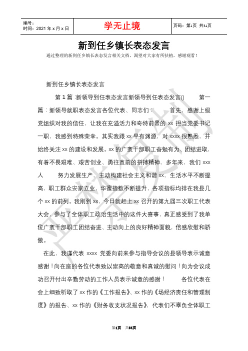 新到任乡镇长表态发言(Word最新版)