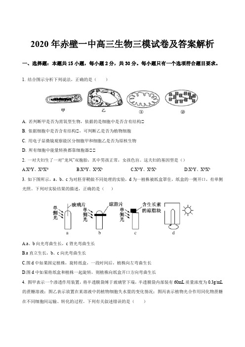 2020年赤壁一中高三生物三模试卷及答案解析