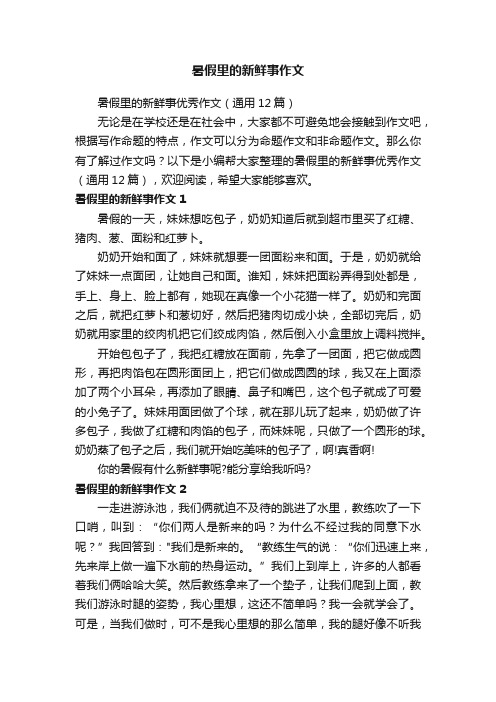 暑假里的新鲜事优秀作文（通用12篇）