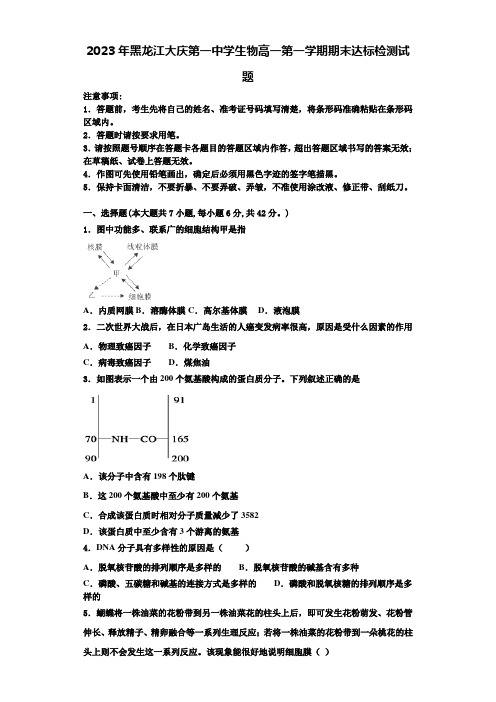 2023年黑龙江大庆第一中学生物高一第一学期期末达标检测试题含解析