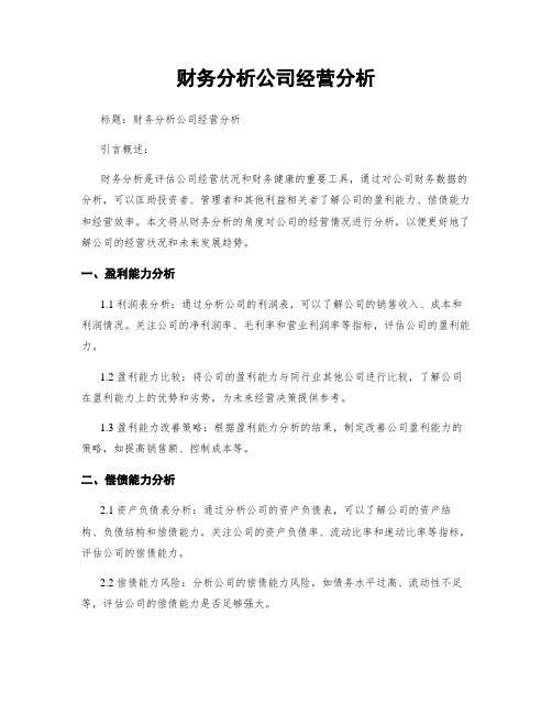 财务分析公司经营分析